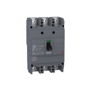 Interruptor Caja Moldeada Fijo Easypact EZC 3x175A 50kA 240V, TMD, EZC250N3175, Schneider Electric